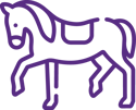 Comunale_Website_DataGraphics_Horse